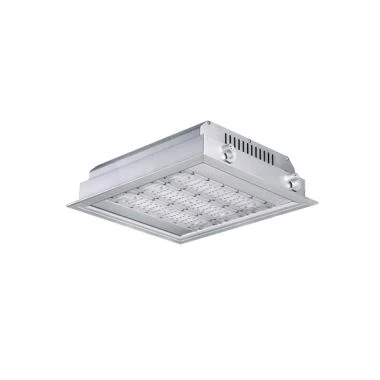 IP66 a prueba de explosiones Led exterior Canopy Fixture